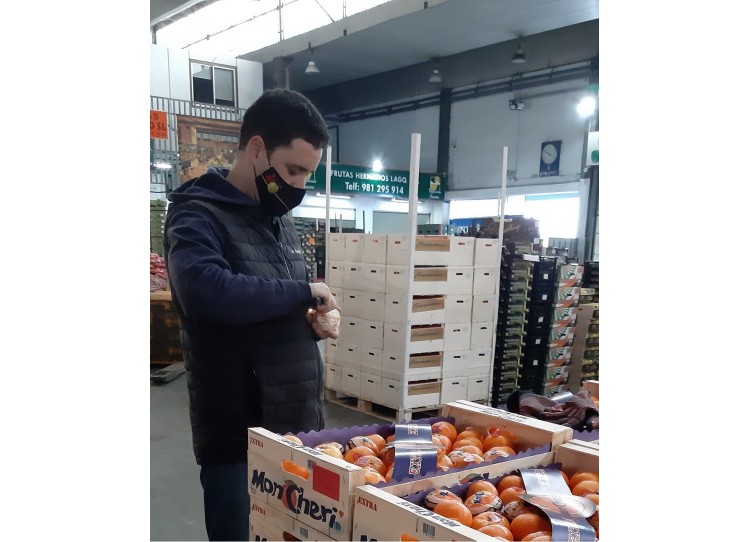Probando en el mercado